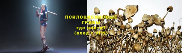 мет Янаул