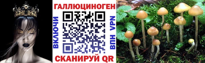 Галлюциногенные грибы Cubensis  Гусиноозёрск 